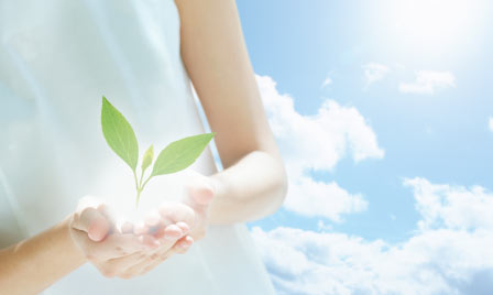 �v���������� ���i�Љ�p���t���b�g�f�U�C���@�R���e���c�̍l�����@����